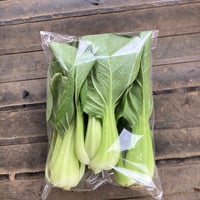 チンゲン菜（カイファーム）