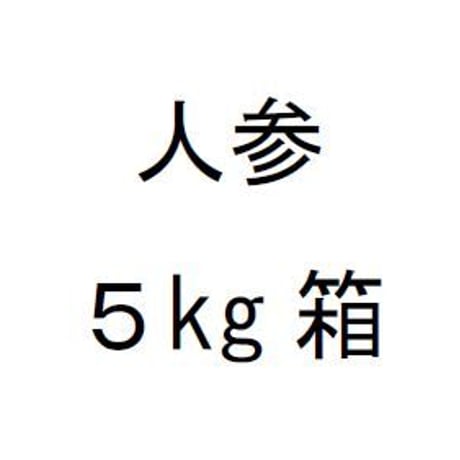 人参 ５㎏箱