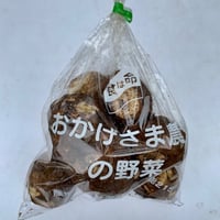里芋