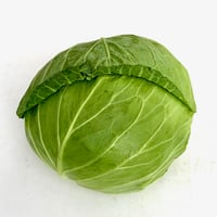 キャベツ