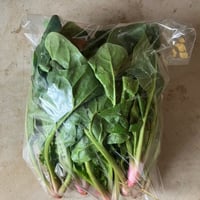 ほうれん草（カイファーム）