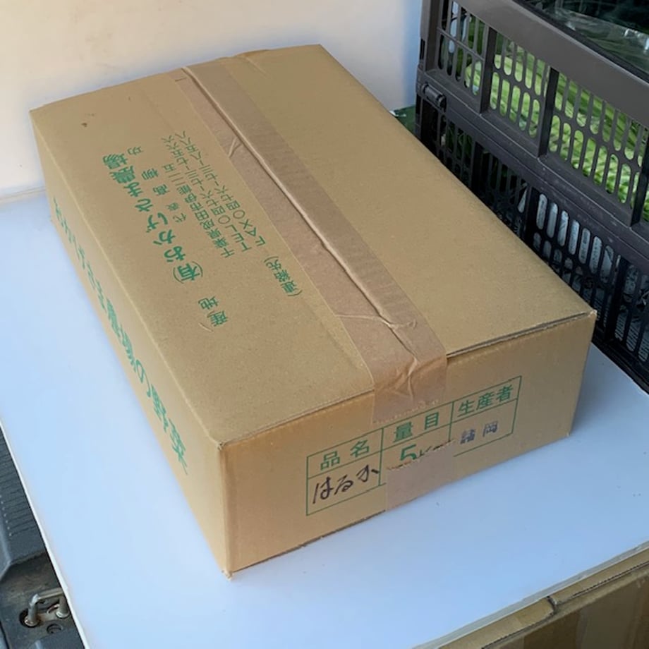 6396f5050c94e40f2333a30e