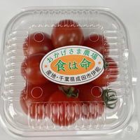 ミニトマト