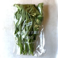 空芯菜
