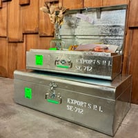 STEEL TRUNK