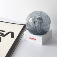 NASA Snow Globe