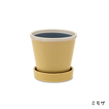 グロッシーポット / 4号