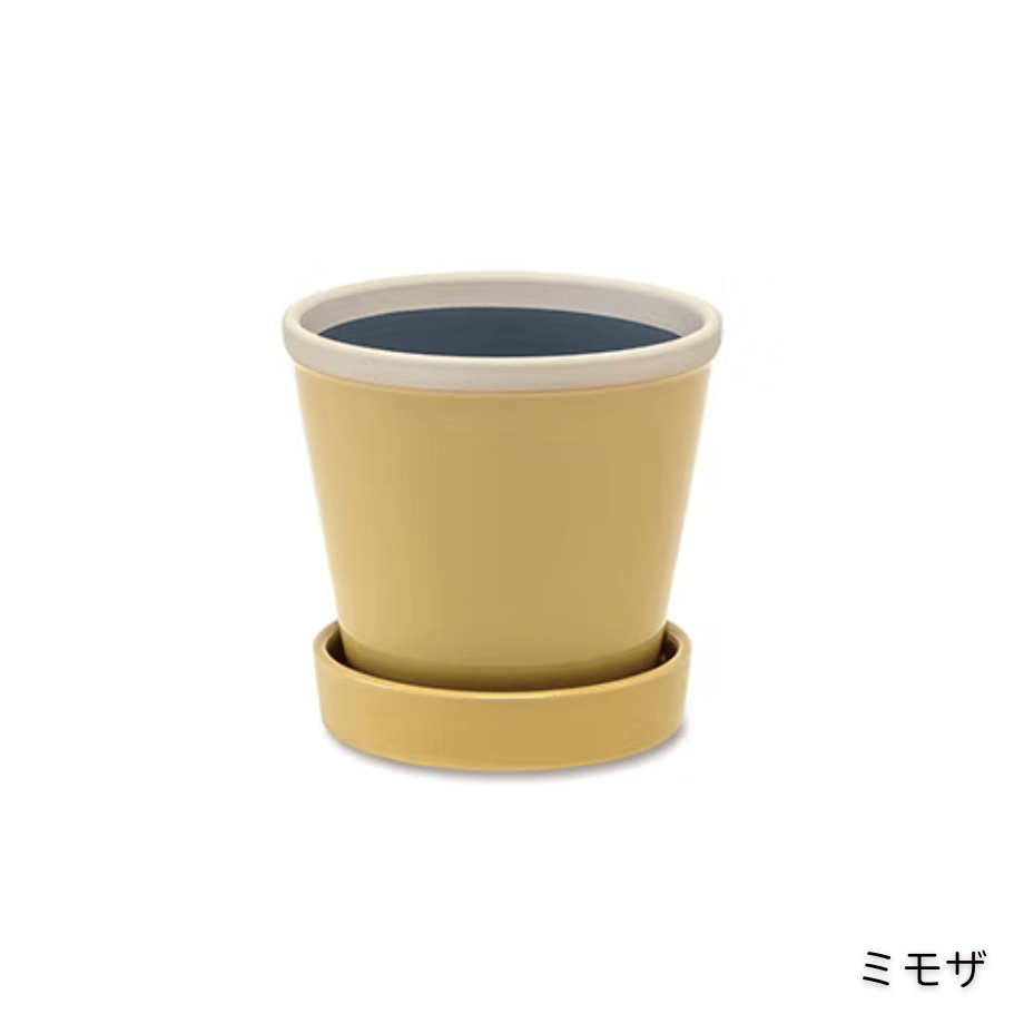 64bb556c7beeeb1cfd24cfb6
