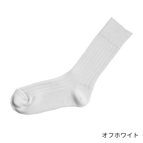 エジプトコットンリブソックス / L