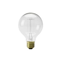 Edison Bulb “Globe (S) / 40W / E26”