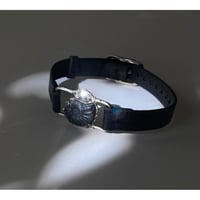 杜計 ブラックアンモナイト + モスアクアマリン