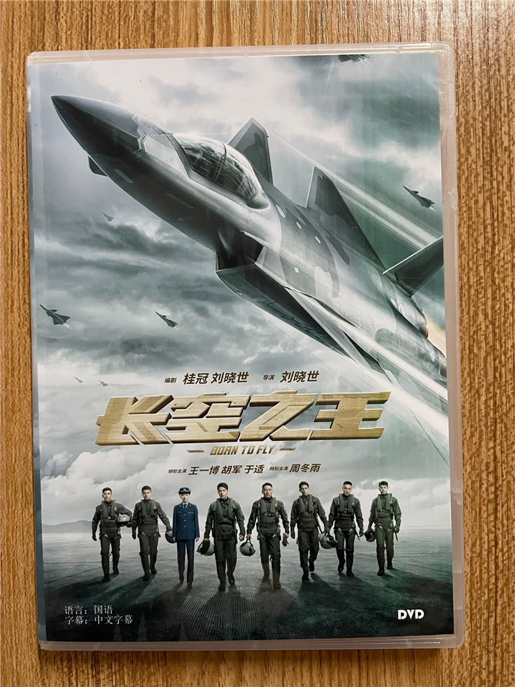 中国映画長空之王（Born To Fly）王一博（ワン・イーボー）胡軍