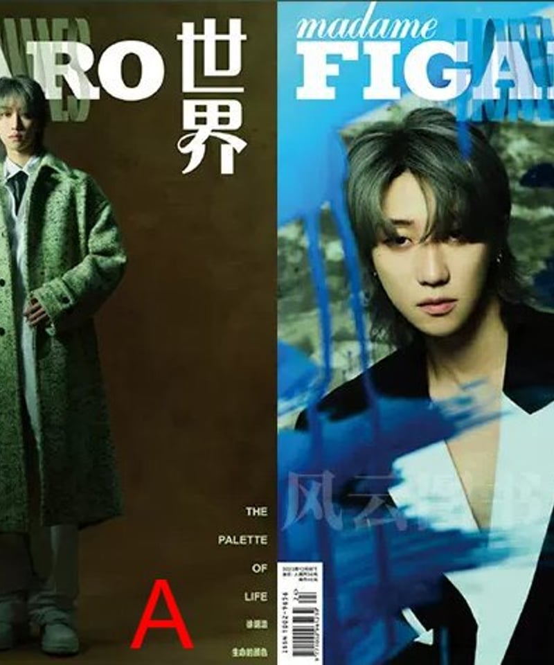 Martin Rico Y Ortega、希少な額装用画集より、新品額装付 Martin Rico Y Ortega、希少な額装用画集より、新品額装付 木下りこ