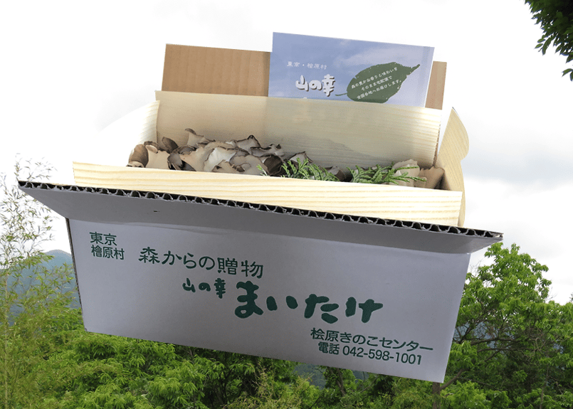 舞茸1箱セット | 桧原きのこセンター