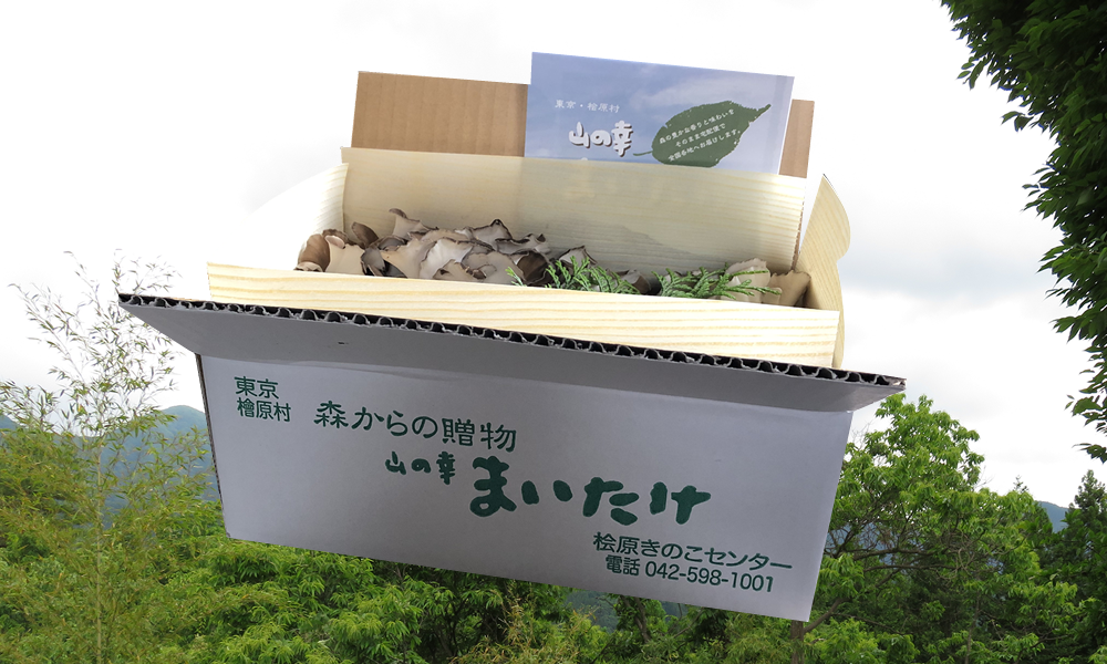 舞茸1箱セット | 桧原きのこセンター