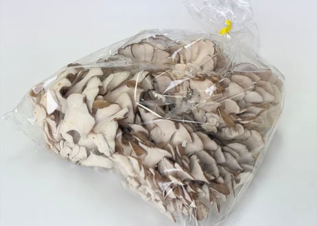 徳用舞茸6袋セット