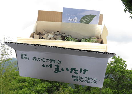 舞茸２箱セット