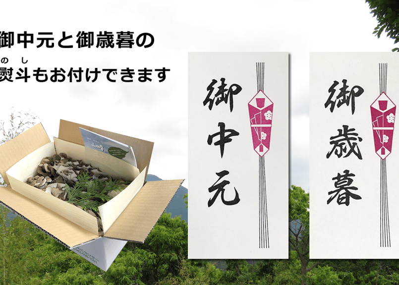 舞茸1箱セット | 桧原きのこセンター