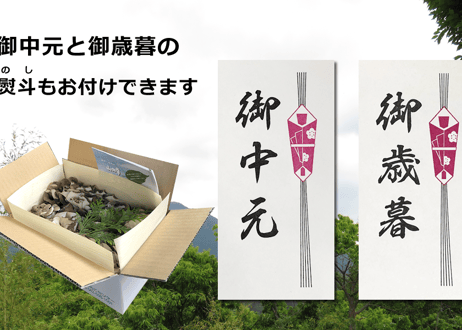 舞茸２箱セット