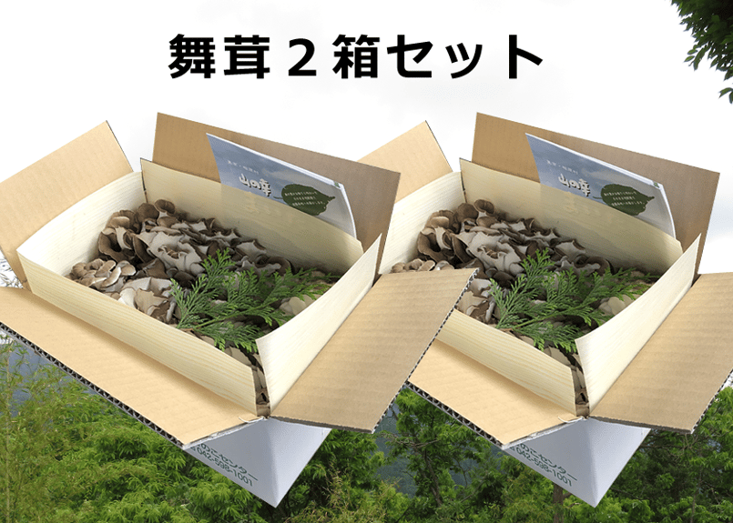 舞茸2箱セット | 桧原きのこセンター