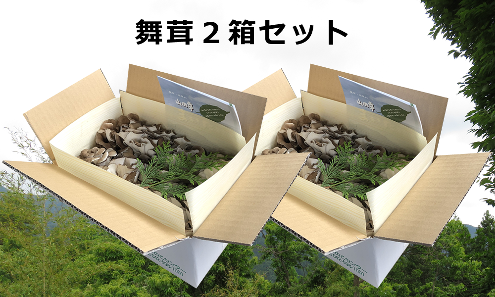 舞茸2箱セット | 桧原きのこセンター