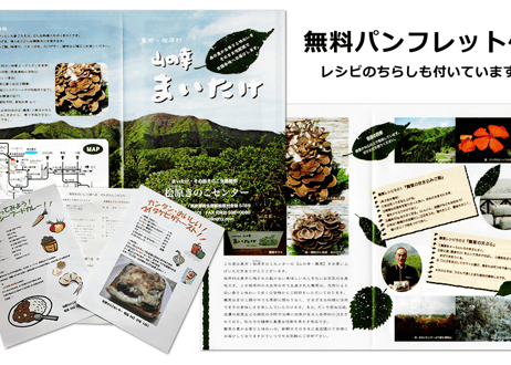 舞茸２箱セット