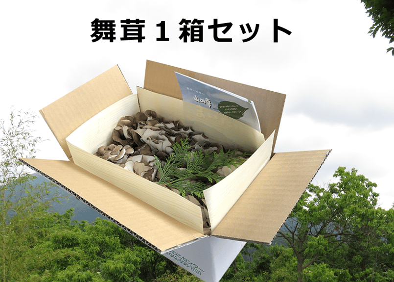 舞茸様 Amazon.co.jp: いちまさ 新潟県産 まいたけ 舞茸 (4株 約1.5kg