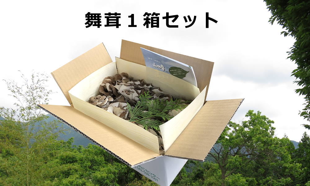 舞茸様、専用出品。 Amazon | いちまさ ビタミンD 舞茸 希なり ビタミンD 舞茸 100g