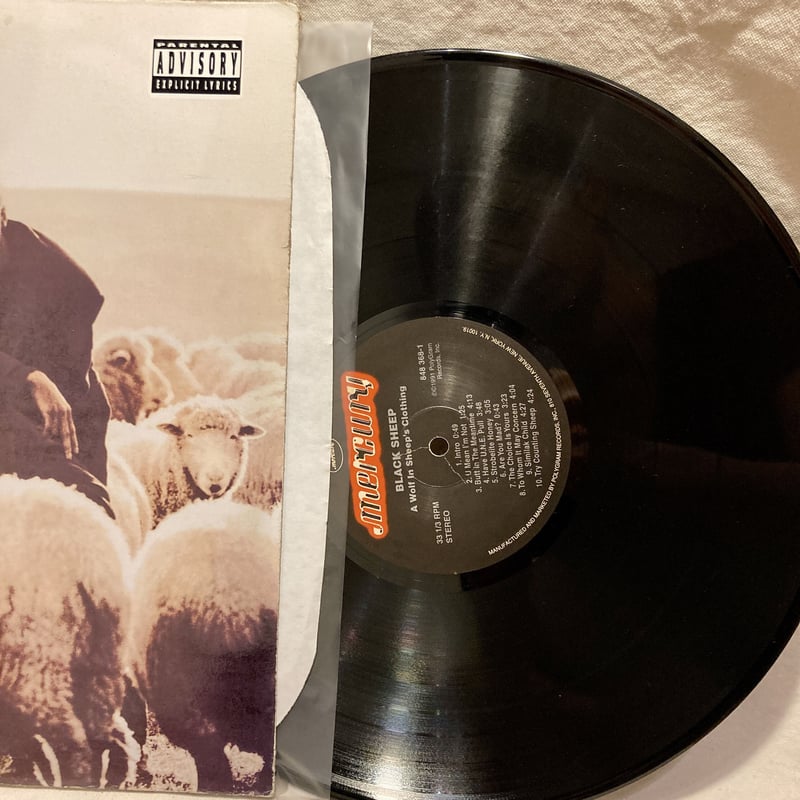 Black Sheep 