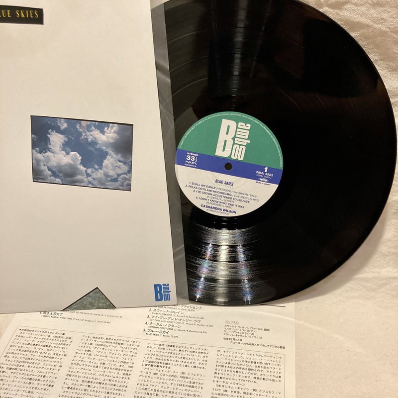 希少❣️ すずらん パンジー  キャロルウィルソン 🌱P. willinckii 'Jade girl' sporeling🌱 Sisters✨ #Platycerium