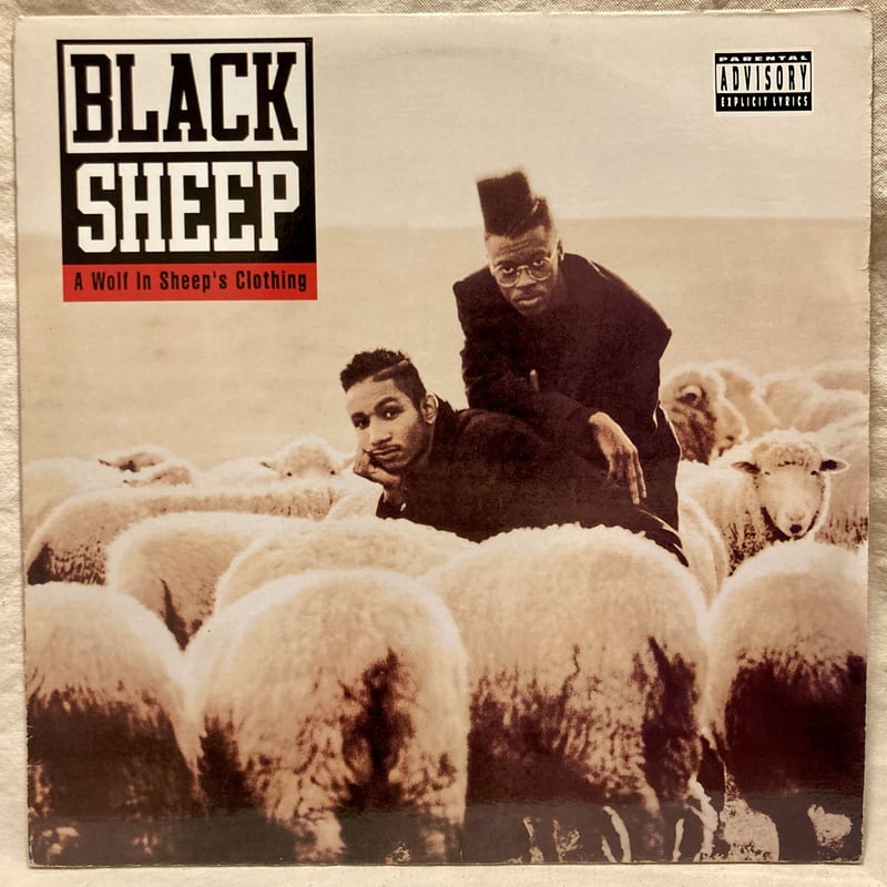 洋楽 Black Sheep From The Black Pool Of Geniu From The Black Pool Of Genius | Black Sheep Dres