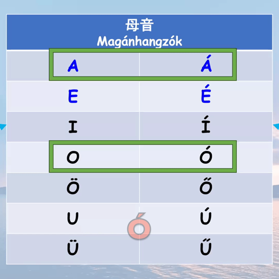 67a19e259ecd34023d66202c
