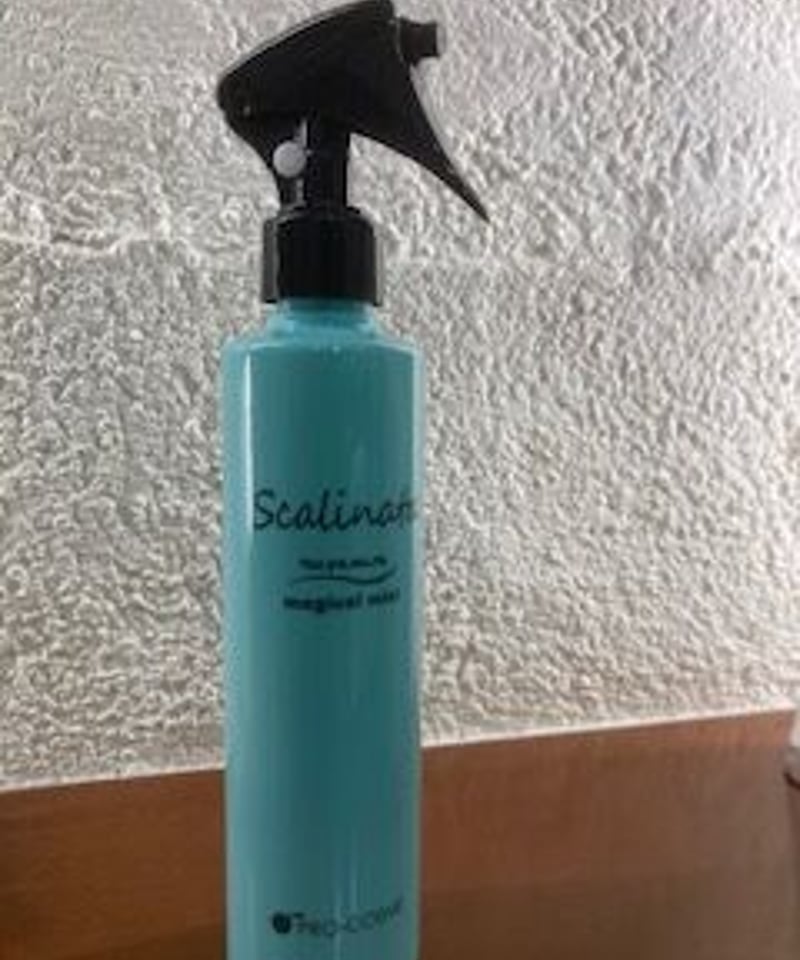 NANO 5本 カタライザーミストスプレー 100m NANO様 カタライザー