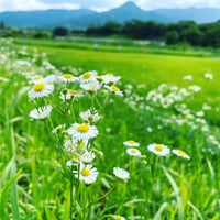 通常カウンセリング＆トレーニング