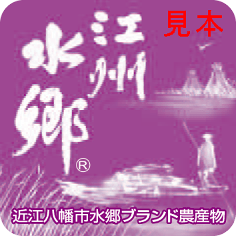 常温便✨朝採り曲がりきゆうり2kg箱✨