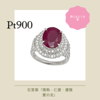 Pure(ピュア) Pt900 プリンセスカット ダイヤモンド ピアス 0.08ct | Je