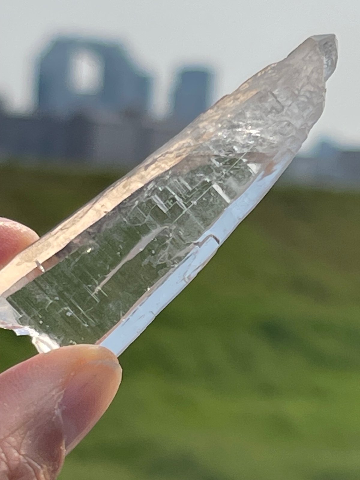 ④ブラジル産バイーヤ州レムリアンシード | SACHIE Karma Tarot