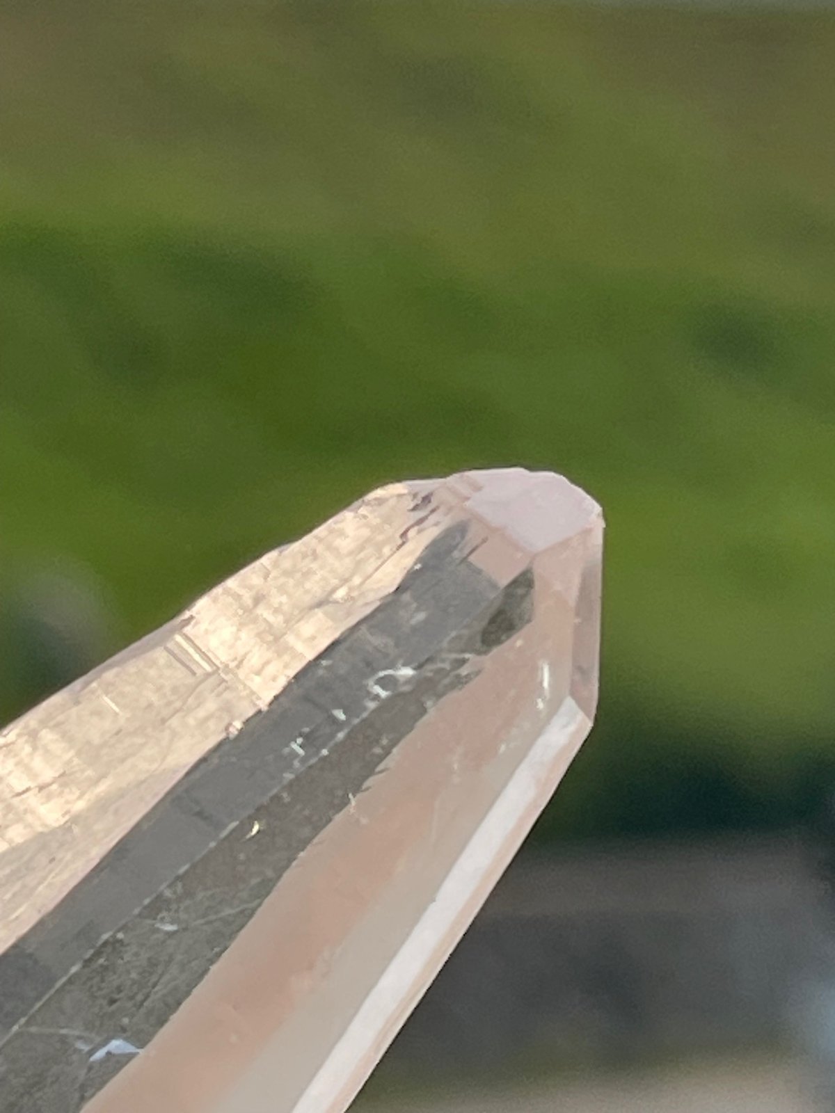 ⑯ブラジル産バイーヤ州レムリアンシード | SACHIE Karma Tarot