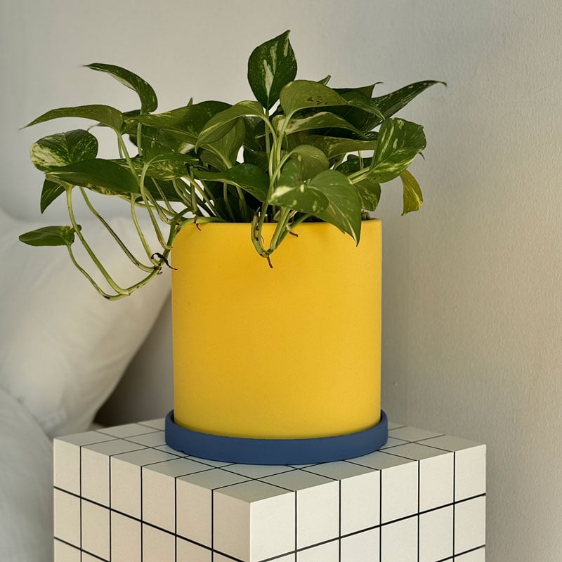 六鉢 complete package 楽天市場】植木鉢 受け皿付き おしゃれ 人気 プランター ミニ