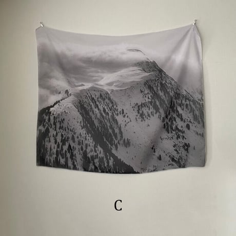 fabricposter-03004　nature フォト タペストリー シフォン ポスター 90cm×110cm