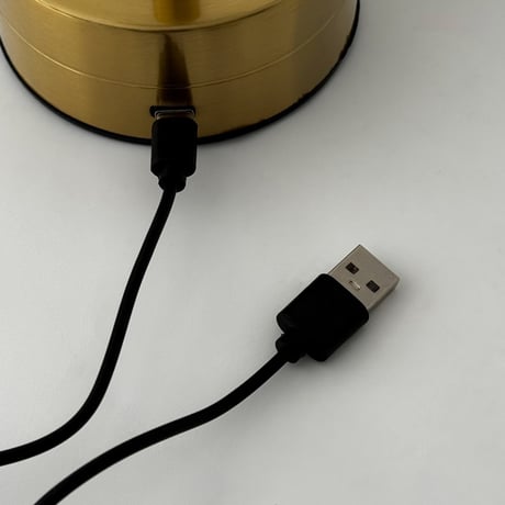 予約販売7月上旬～7月中旬頃発送予定　light-03184　USB スマート スタンドライト