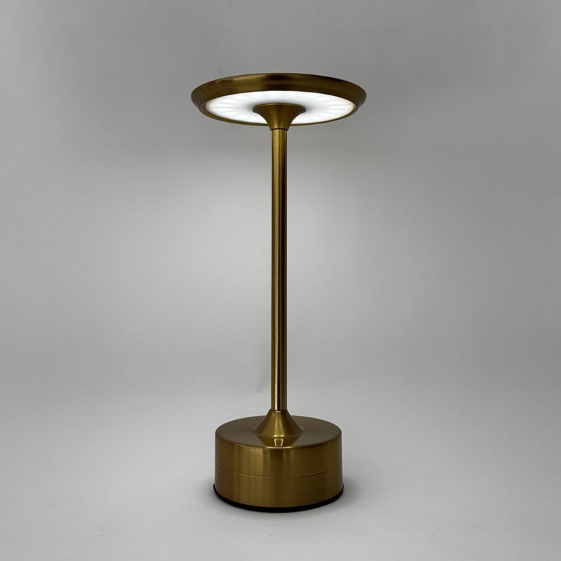 予約販売1月中旬頃発送予定 light-03184 USB スマート スタンドライト