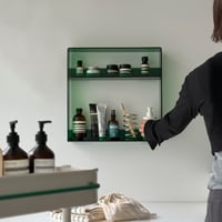 【一部予約】　wallrack-03057　カラー アクリル オープン ウォールシェルフ 2段