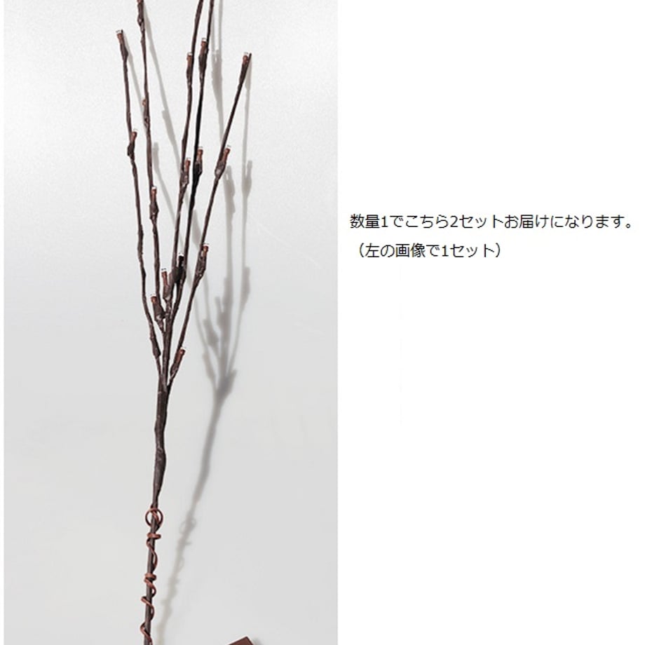 62e21131900a51000194204f
