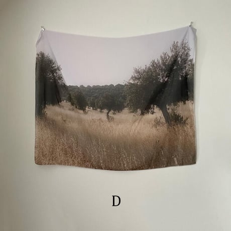 fabricposter-03004　nature フォト タペストリー シフォン ポスター 90cm×110cm