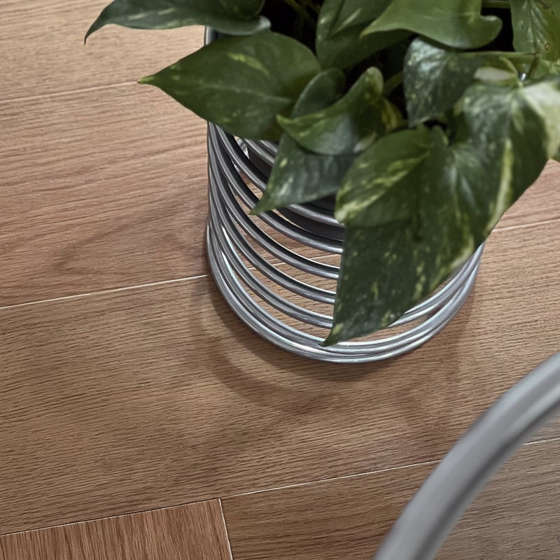 gardening-03030 ポット付き シルバースプリングポットスタンド 5号