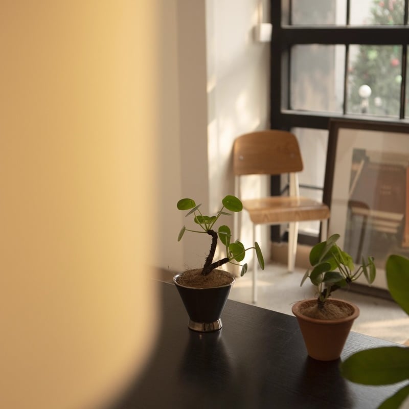 ライオン セラミック ポット 鉢植え ビンテージ 一点もの 希少品 植木鉢 陶器鉢 フロランス B セラミックポット グリーン 【陶器鉢 ／1個