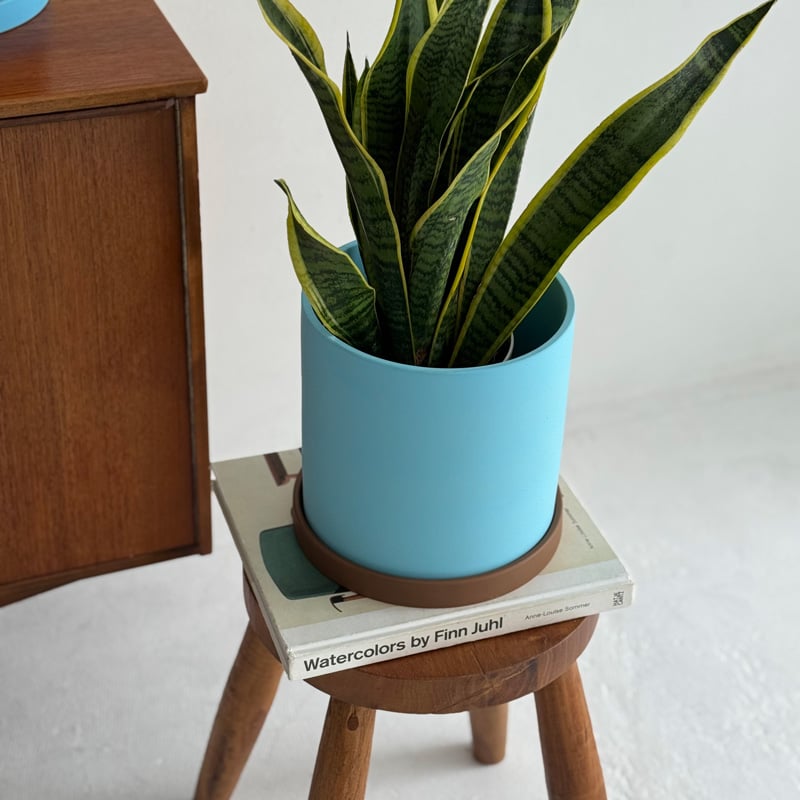 gardening-03037 brown×blue セラミックポット 6号 | ART OF