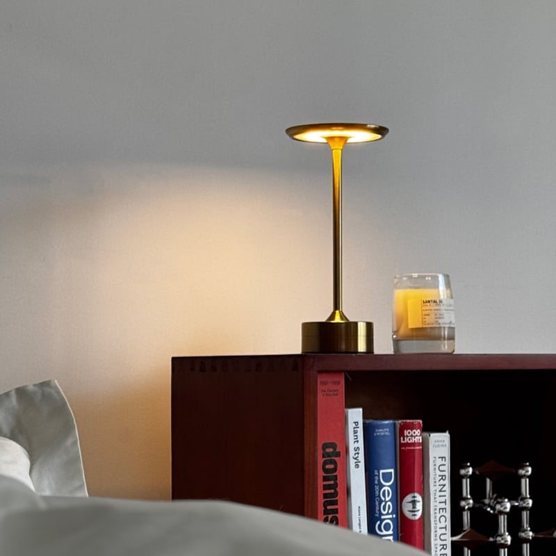 予約販売1月中旬頃発送予定 light-03184 USB スマート スタンドライト