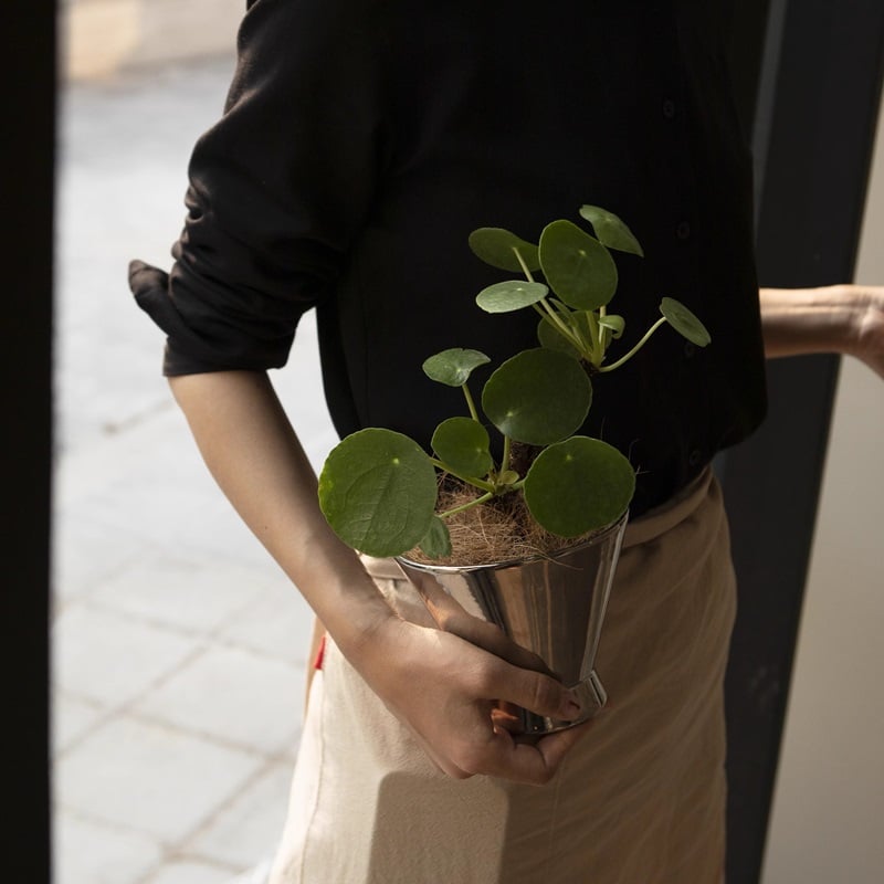 gardening-03036 セラミック製 植木鉢 シルバーポット 5号 | ART gardening-03036 セラミック製 植木鉢 シルバーポット 5号 | ART